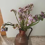 בית נופש La Casa Di Bella A Tradional Stone House With Barbecue *