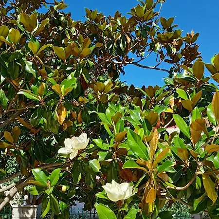 La Casa Di Bella A Tradional Stone House With Barbecue * Kariá