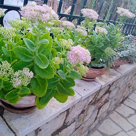 Dom wakacyjny La Casa Di Bella A Tradional Stone House With Barbecue Kariá