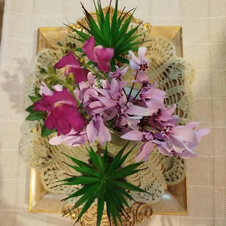 Ferienhaus La Casa Di Bella A Tradional Stone House With Barbecue