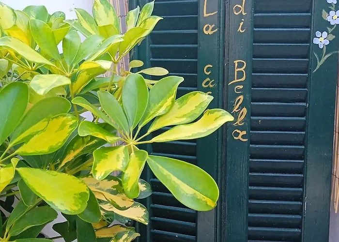 Σπίτι διακοπών La Casa Di Bella A Tradional Stone House With Barbecue