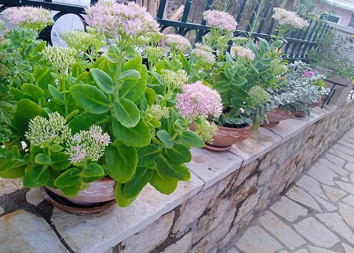 Σπίτι διακοπών La Casa Di Bella A Tradional Stone House With Barbecue Καρυά