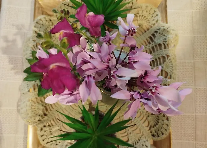 Σπίτι διακοπών La Casa Di Bella A Tradional Stone House With Barbecue